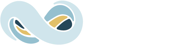 Oracle NetSuite official logo